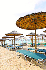 Image showing Beach umbrellas on sandy seashore