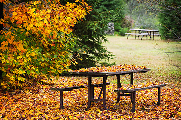 Image showing Picnic table with autumn leaves