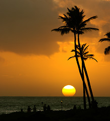 Image showing Tropical sunset