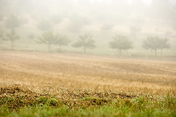 Image showing Stubble mulch