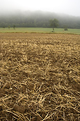 Image showing Stubble mulch