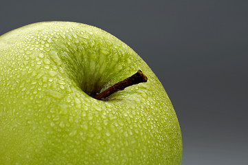 Image showing apple