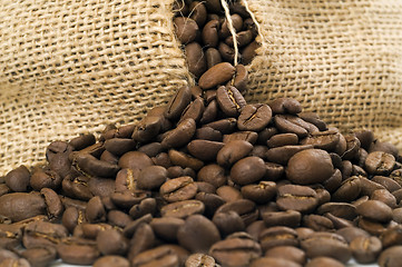 Image showing Coffee beans