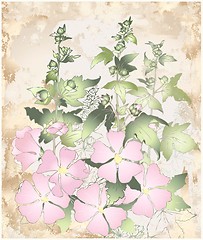 Image showing Pink flowers mallow with green leaves. Greeting card with mallow.