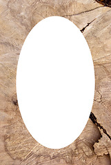 Image showing Cutting texture of old tree frame and white oval 