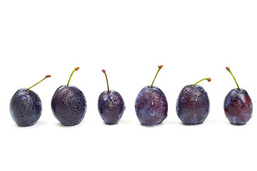 Image showing Plums