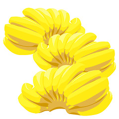 Image showing Three bunch of bananas isolated on white background