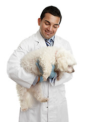 Image showing Veterinarian carrying a small dog