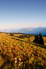 Image showing Mt. Rainier