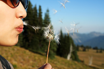 Image showing Make a wish