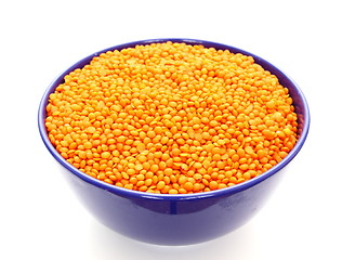 Image showing lentil in blue pot