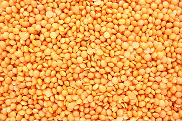 Image showing red lentil texture