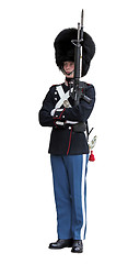 Image showing Royal Danish Guardsman