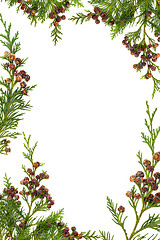 Image showing Cedar Cypress and Pine Cone Border