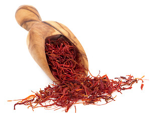 Image showing Saffron Spice