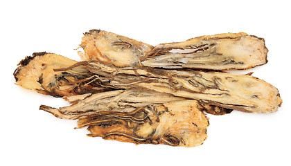 Image showing Angelica Root Herb