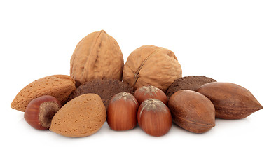 Image showing Mixed Nuts