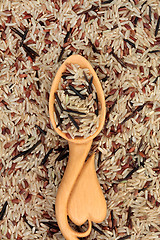 Image showing Wild Rice