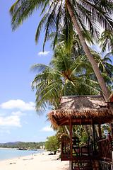 Image showing Tropical Beach Scene