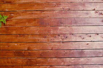 Image showing Planks wall background.