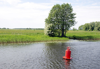 Image showing Red buoy beacon in lake shore water mark for ships 