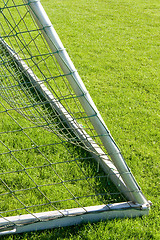 Image showing Side-netting