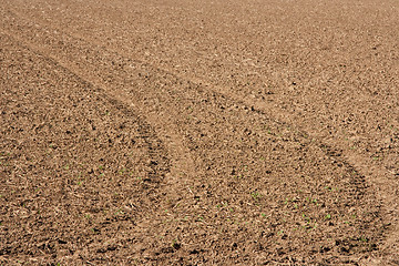 Image showing Farmland