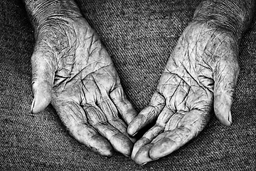 Image showing old woman hands