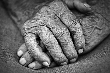 Image showing old woman hands