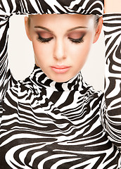 Image showing zebra fashion