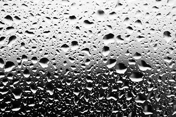 Image showing water droplets closeup, monochrome