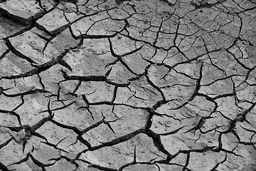 Image showing cracked soil