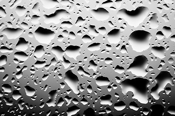 Image showing water droplets closeup, monochrome