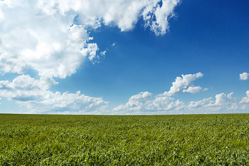 Image showing Beautiful summer rural landscape