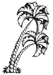 Image showing Palm tree theme drawing 1