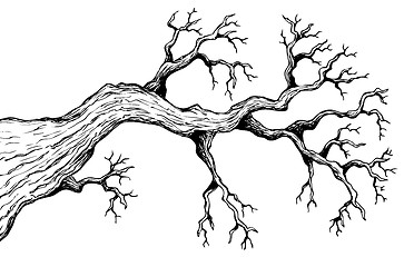 Image showing Tree theme drawing 3