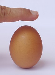 Image showing Tense situation - equilibrating a Brown egg