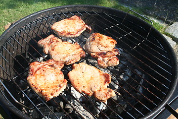 Image showing Meat on grill