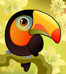 Image showing Toucan on the  branch