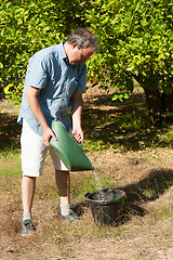 Image showing Fertilizing