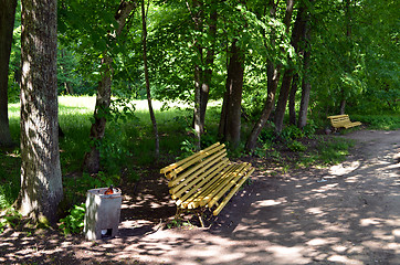 Image showing Wooden yellow bench under trees trash bins in park 