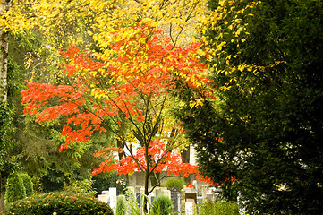 Image showing Autumnal cemetery 02