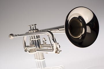 Image showing trumpet