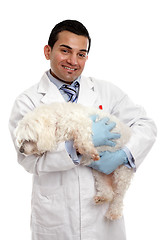 Image showing Veterinarian carrying a pet dog