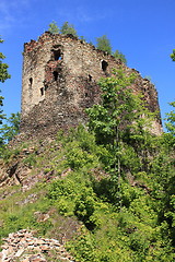 Image showing Castle in Swiecie