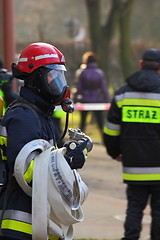 Image showing Fireman ready for action