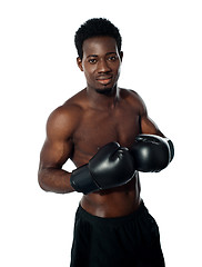 Image showing Muscular african boxer posing in style