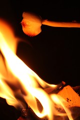 Image showing roasting a marshmallow