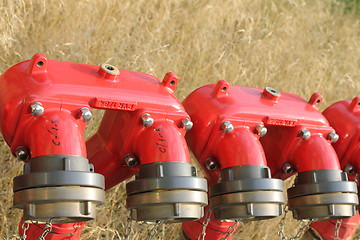Image showing row of fire hydrants