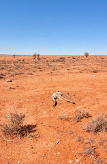 Image showing australian red desert